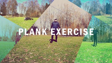 The plank exercise workout