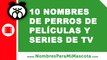 10 nombres de perros de películas y series de TV - nombres de mascota - www.nombresparamimascota.com