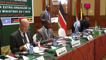 Doğu Afrika ülkeleri Güney Sudan için olağanüstü toplandı - ADDİS ABABA