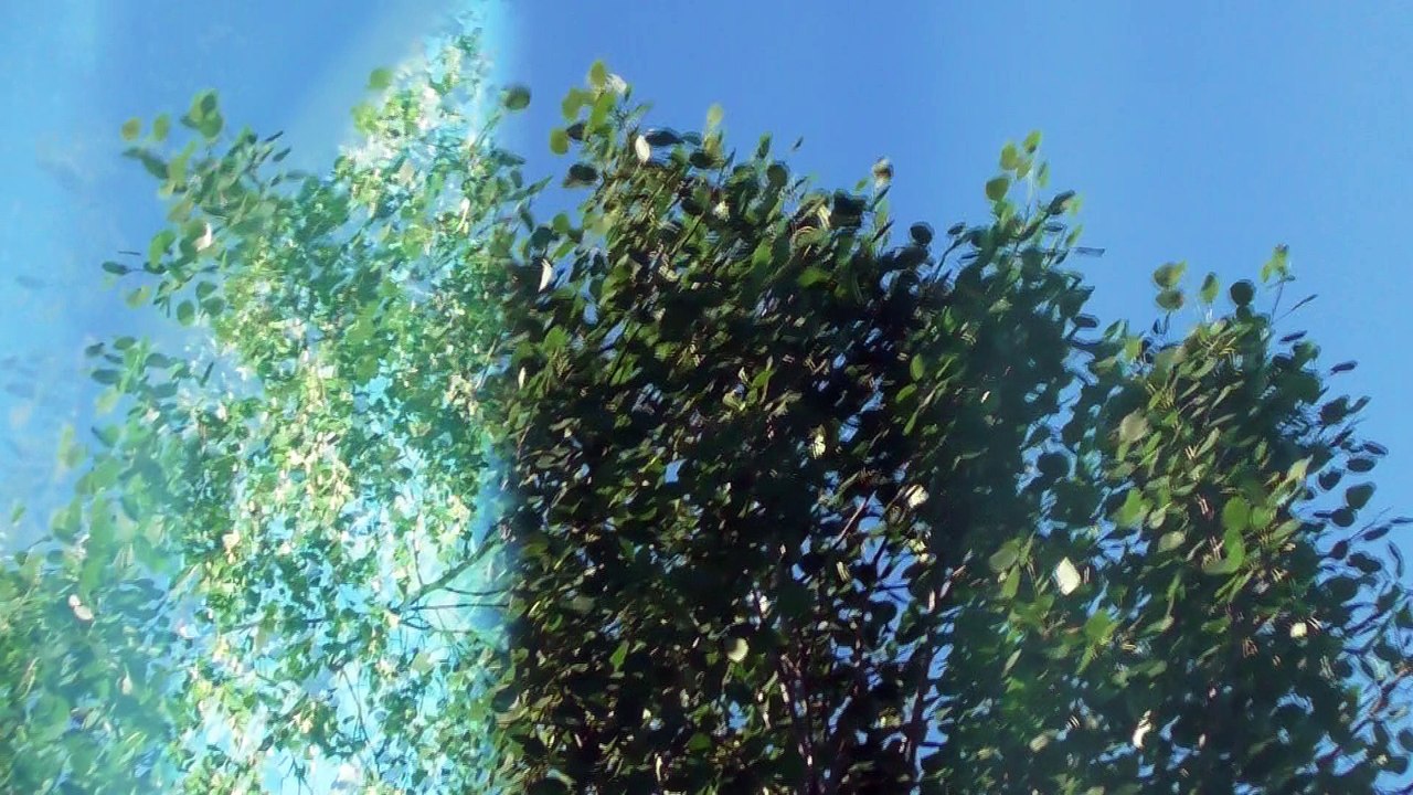 May 30 2018 DL10