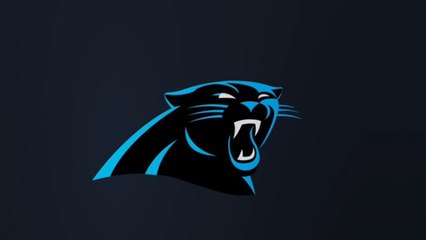 Animated Guide To The Carolina Panthers