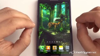Forest HD Live Wallpaper