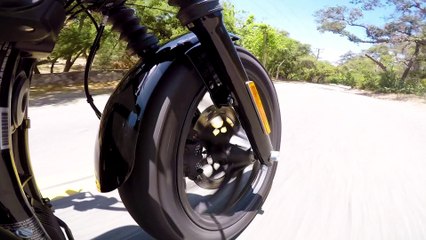 2018 Harley-Davidson Iron 1200 in the Twisties