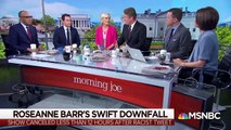 What Roseanne Barr's Tweets On Tuesday Showed Us About The Soul Of The Country | Morning Joe | MSNBC