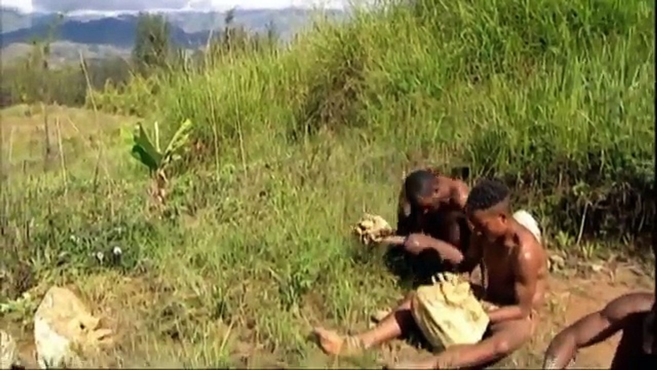 Embajadores de la selva (parte 2)