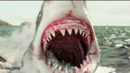 7 Real Megalodon Sightings Caught On Camera