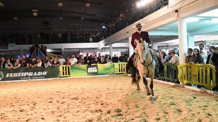 Gala Equestre ARTM na Feira de Maio 2018 - 04