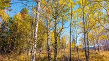Grand Teton Mountains Scenery | 1 Hour - Relaxation Video in 4K | Last Days of Fall Foliage