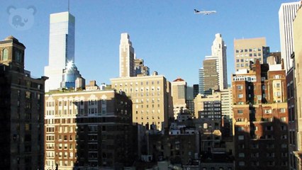 100% Pure New Zealand (2D Animation) (1)