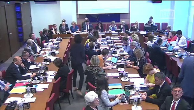 Commission des affaires sociales : Liberté de choisir son avenir professionnel (suite) - Mercredi 30 mai 2018