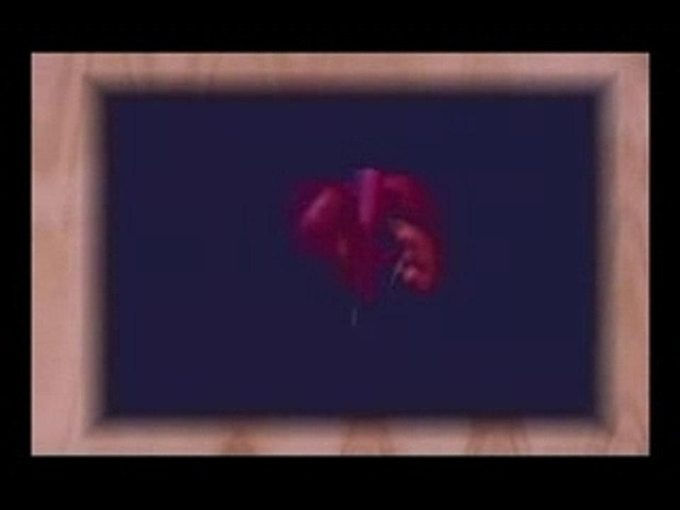 Chitosan
