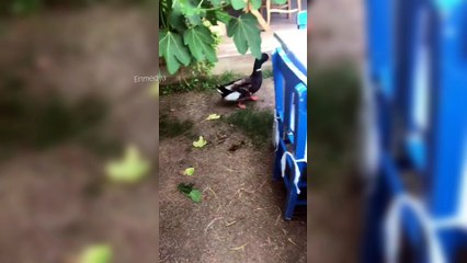 Ece Erken Oğlu Eymen İle Tatilde Çok Eğlendi! | Ece Erken'in İnstagram Hikayesi #Enmedya