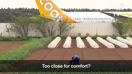 Long-haul fight: Japan farmers battle Narita airport