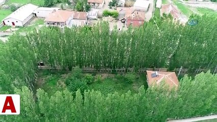 Evi çevreleyen ağaçlar hayrete düşürdü