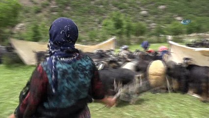 Terör yüzünden gidilemiyordu, şimdi kuzu sesleri yükseliyor