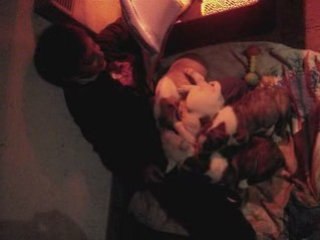 BONNE NUIT LES PETITS