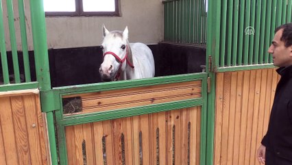 Pistlerin 'Turbo'su yılda 2,7 milyon kazandıracak - ESKİŞEHİR