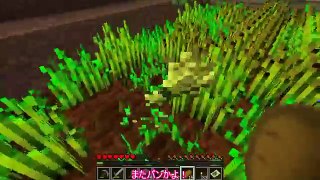 【ゆっくり実況Part5】嘘つきうぷ主のマインクラフト【続・黄昏の森】