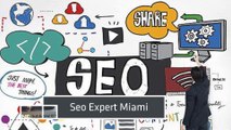 Seo Expert Miami,Miami Beach Seo Services,West Palm Beach Seo Expert