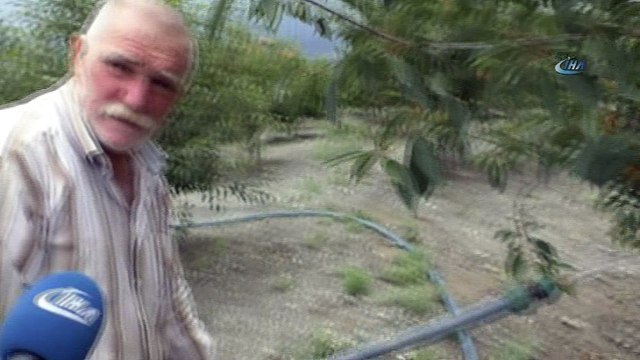 Kiraz bahçesini güneş enerjisi sistemi ile suluyor