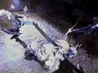 OverKill - Bastard Nation