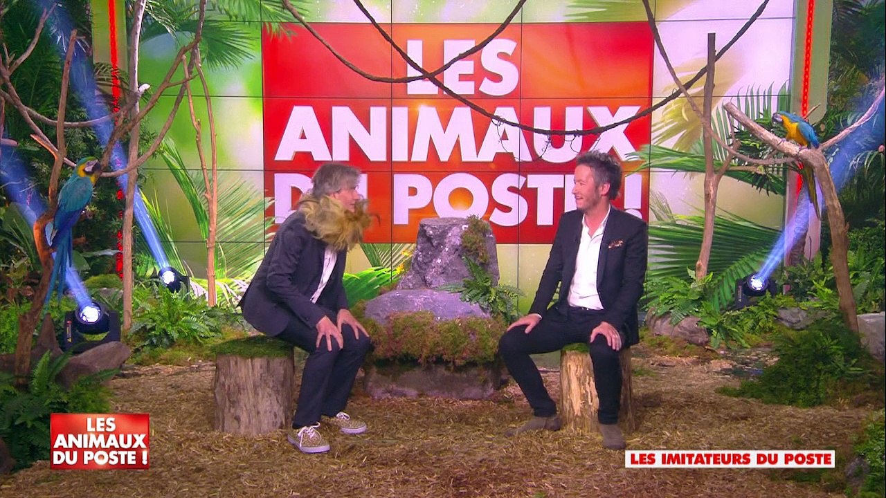 TPMP : Johnny Hallyday, Michel Sardou, Serge Gainsbourg... Le meilleur des imitations des chroniqueurs (vidéo)