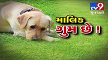 Owner missing! Ahmedabad family on mission to find dog's owner- Tv9 Gujarati