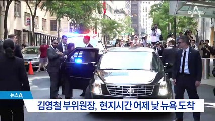 비자 기간 사흘…회담 후 김영철, 워싱턴 가나