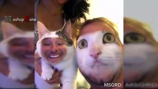 Funny Cats And Dogs Face Swap With Owners - Try Not To Laugh Or Grin
