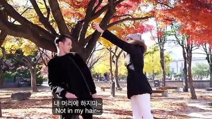 Autumn Leaves in Seoul, South Korea Ft. Blair Williams