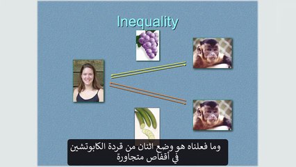 احتجاج القرود - The Monkey protest