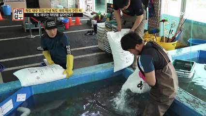 태양을 피하고 싶은 새우?! 실패를 발판 삼은 갑부의 노력