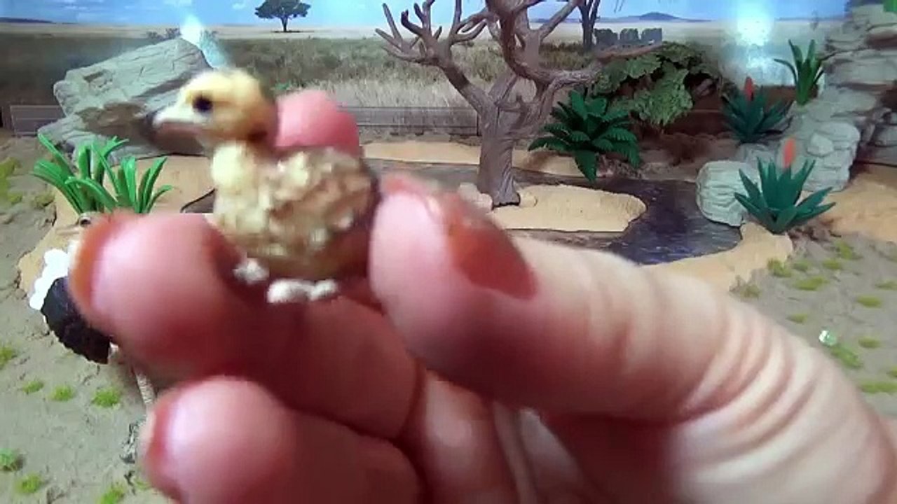 schleich african safari set