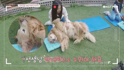 고객 만족도 100% 댕댕이 아로마 마사지 TIP ′아따 좋당개′