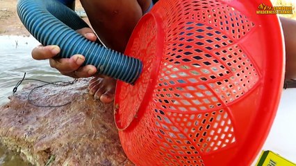 Believe This Fishing? Unique Fish Trapping System Using Long Pipe & 5 Small Plastic Bottle