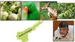 Andhra Pradesh Gets Separate State Symbols