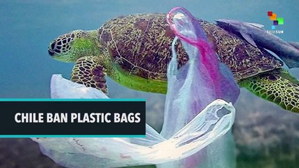 Chile Ban Plastic Bags