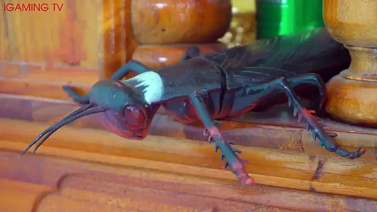 SHARK VS DINOSAURS REAL LIFE | THE WILD COCKROACH GIANT HUGE EATING FOOD AND ATTACK SHARK DINOSAURS