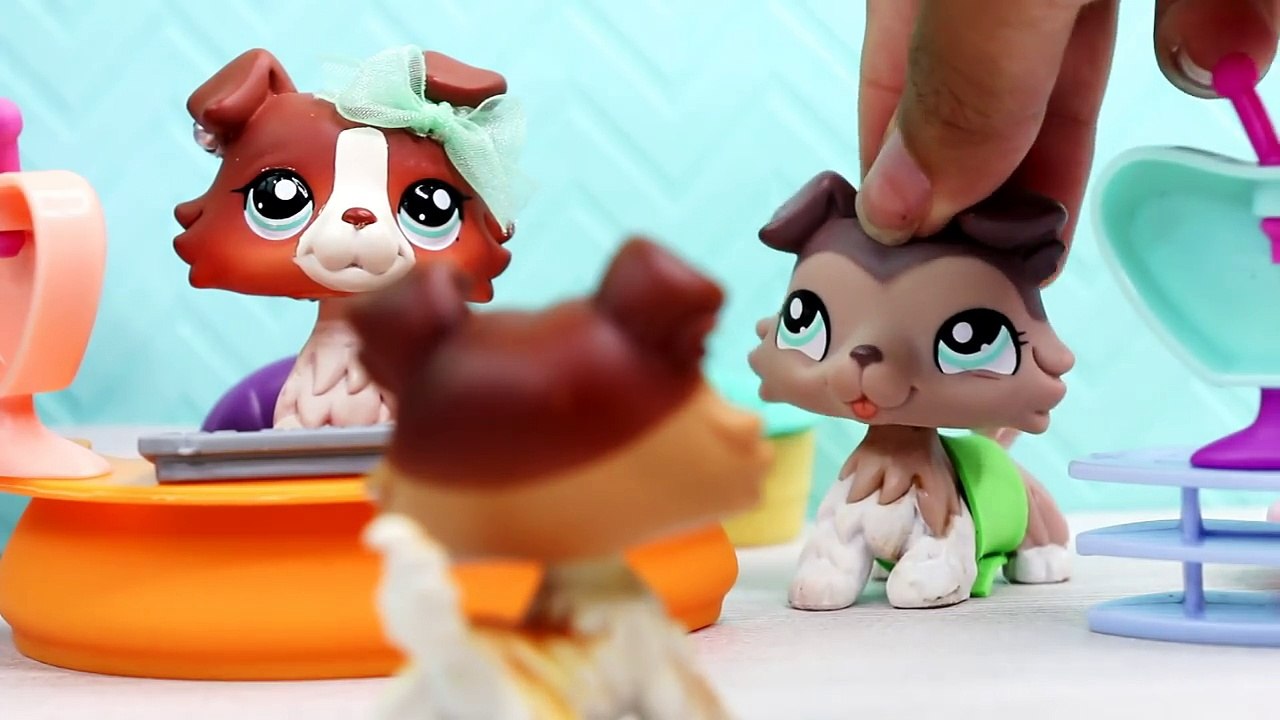 COLLIE COMPLICATIONS 10: I STILL LOVE YOU