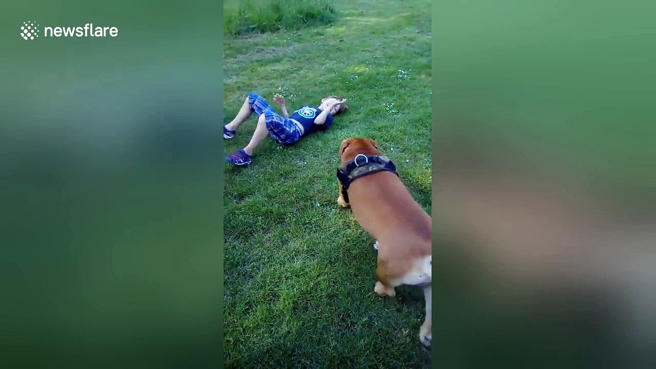 They're inseparable! Boy and his dog mimic each other by rolling in the grass