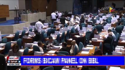 House forms bicam panel on BBL