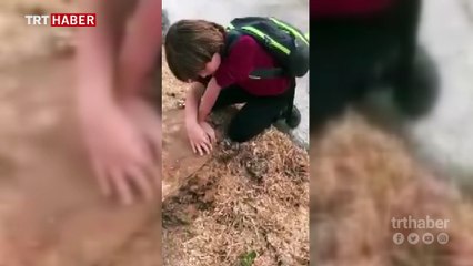 Ağacı kesilen çocuk gözyaşlarını tutamadı