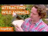 How to Attract Wild Life in Your Garden | Great British Garden Revival