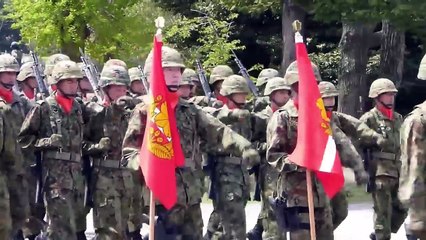 Japan Ground Self-Defense Force Firepower