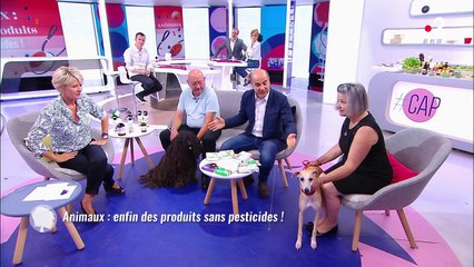 "Il a une particularité, c'est sa queue" : la drôle de remarque de Sophie Davant