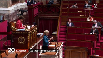 Parlement : les lobbies font-ils la loi ?