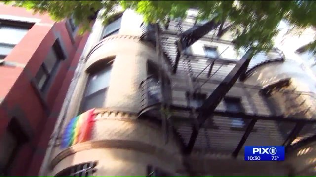 Dog Stolen from Brooklyn Home During Break-in Found Under Bizarre Circumstances