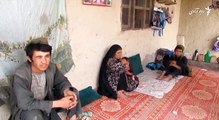 یک بیوه زن ارزگانی در جستجوی صلح یک زن با فرزندان اش در شهر ترینکوت زنده گی می کند که شوهر اش کشته شده است.این زن طرف های درگیر در جنگ افغانستان را به صلح فرا