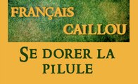 Français caillou / Définition du jour : 