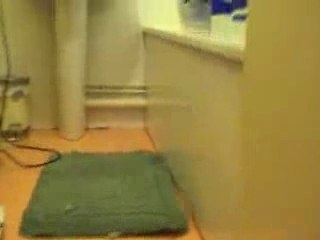 Tapis volant